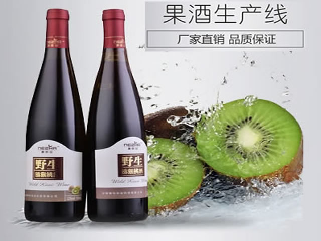 果酒生產設備 果酒生產線